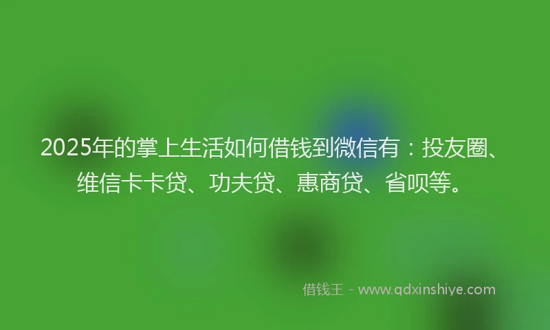 2025年的掌上生活如何借钱到微信有：投友圈、维信卡卡贷、功夫贷、惠商贷、省呗等。