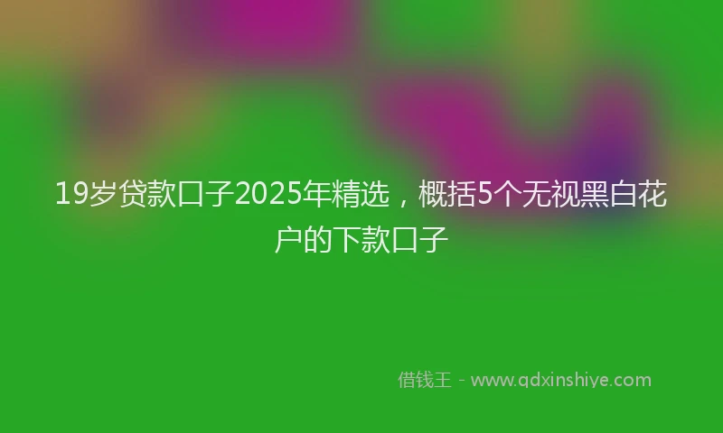 19岁贷款口子2025年精选，概括5个无视黑白花户的下款口子