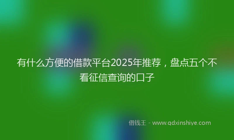 有什么方便的借款平台2025年推荐，盘点五个不看征信查询的口子