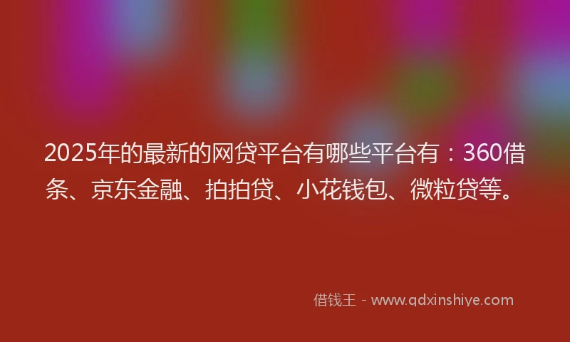 2025年的最新的网贷平台有哪些平台有：360借条、京东金融、拍拍贷、小花钱包、微粒贷等。