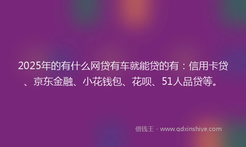 2025年的有什么网贷有车就能贷的有：信用卡贷、京东金融、小花钱包、花呗、51人品贷等。