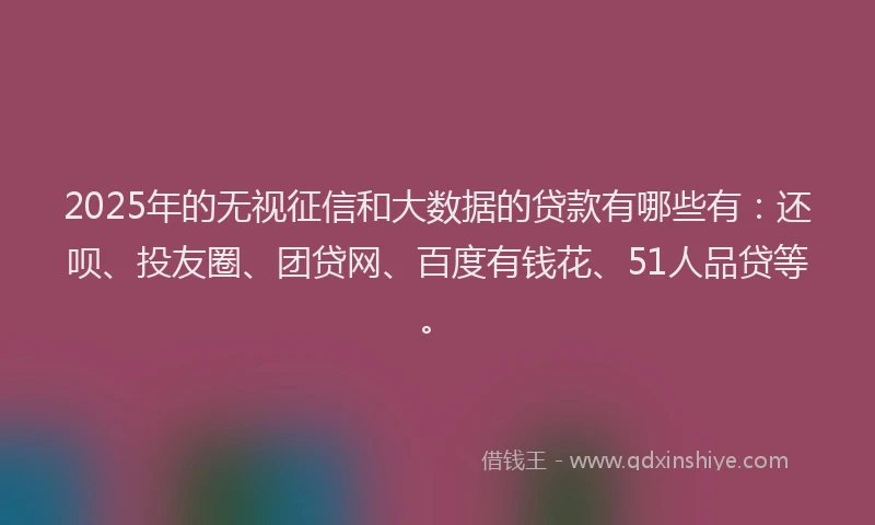 2025年的无视征信和大数据的贷款有哪些有：还呗、投友圈、团贷网、百度有钱花、51人品贷等。