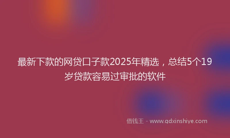 最新下款的网贷口子款2025年精选，总结5个19岁贷款容易过审批的软件