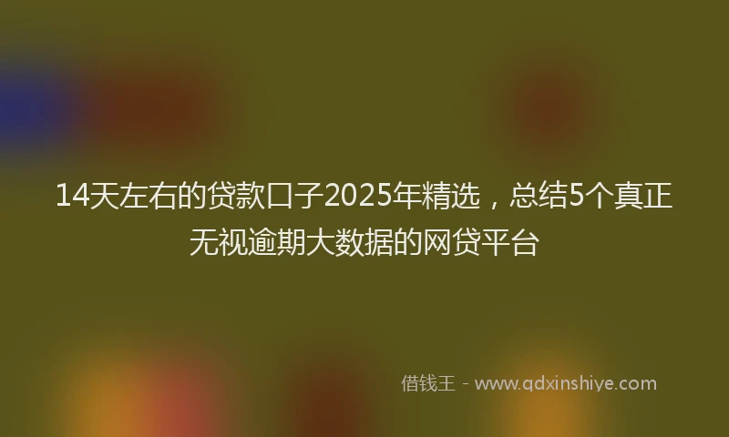 14天左右的贷款口子2025年精选，总结5个真正无视逾期大数据的网贷平台