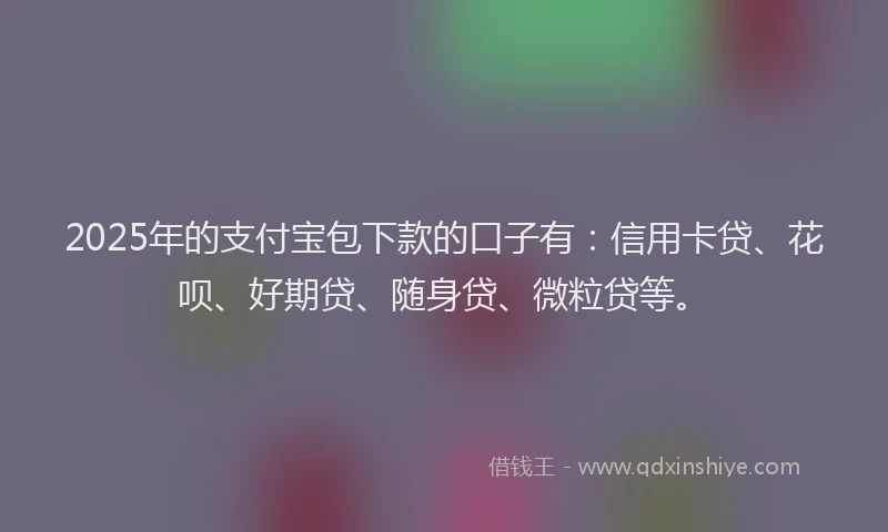 2025年的支付宝包下款的口子有：信用卡贷、花呗、好期贷、随身贷、微粒贷等。