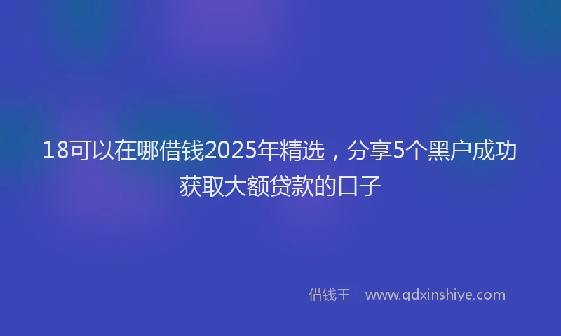 18可以在哪借钱2025年精选，分享5个黑户成功获取大额贷款的口子