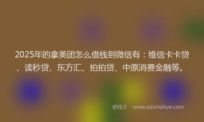 2025年的拿美团怎么借钱到微信有：维信卡卡贷、读秒贷、东方汇、拍拍贷、中原消费金融等。