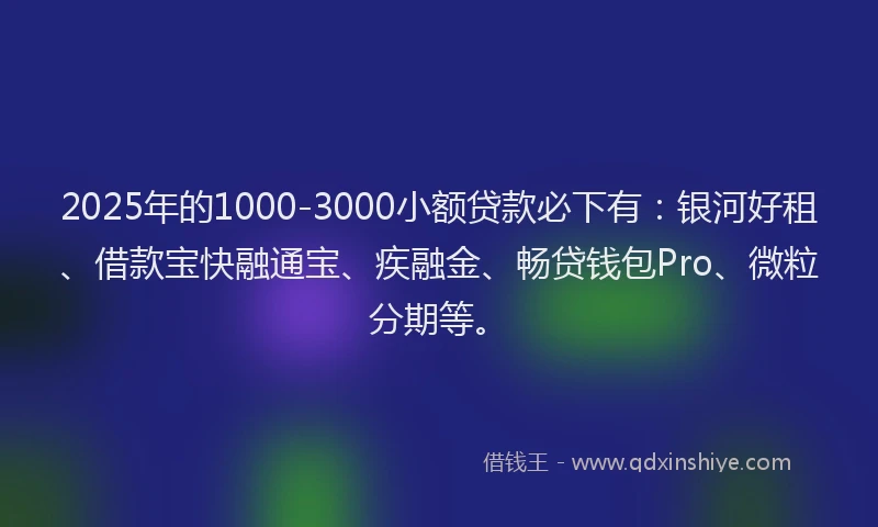 2025年的1000-3000小额贷款必下有：银河好租、借款宝快融通宝、疾融金、畅贷钱包Pro、微粒分期等。