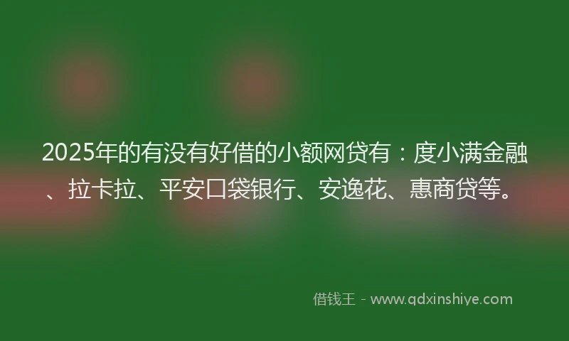 2025年的有没有好借的小额网贷有：度小满金融、拉卡拉、平安口袋银行、安逸花、惠商贷等。