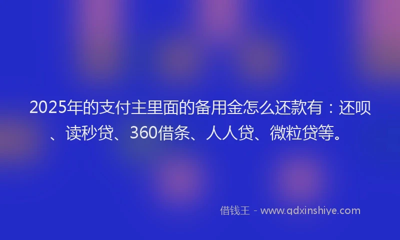 2025年的支付主里面的备用金怎么还款有：还呗、读秒贷、360借条、人人贷、微粒贷等。