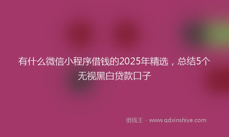有什么微信小程序借钱的2025年精选，总结5个无视黑白贷款口子