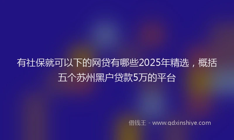有社保就可以下的网贷有哪些2025年精选，概括五个苏州黑户贷款5万的平台