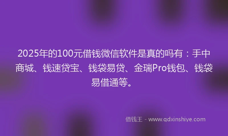 2025年的100元借钱微信软件是真的吗有：手中商城、钱速贷宝、钱袋易贷、金瑞Pro钱包、钱袋易借通等。