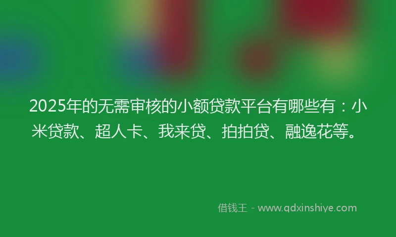 2025年的无需审核的小额贷款平台有哪些有：小米贷款、超人卡、我来贷、拍拍贷、融逸花等。