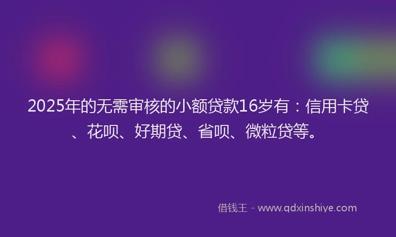 2025年的无需审核的小额贷款16岁有：信用卡贷、花呗、好期贷、省呗、微粒贷等。