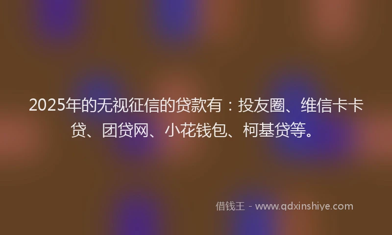 2025年的无视征信的贷款有：投友圈、维信卡卡贷、团贷网、小花钱包、柯基贷等。