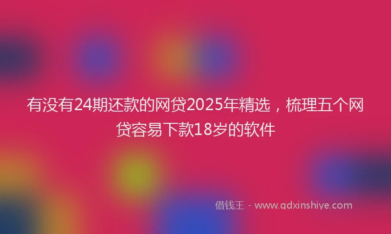 有没有24期还款的网贷2025年精选，梳理五个网贷容易下款18岁的软件