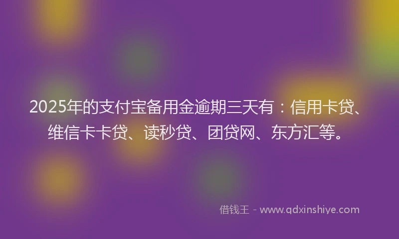 2025年的支付宝备用金逾期三天有：信用卡贷、维信卡卡贷、读秒贷、团贷网、东方汇等。