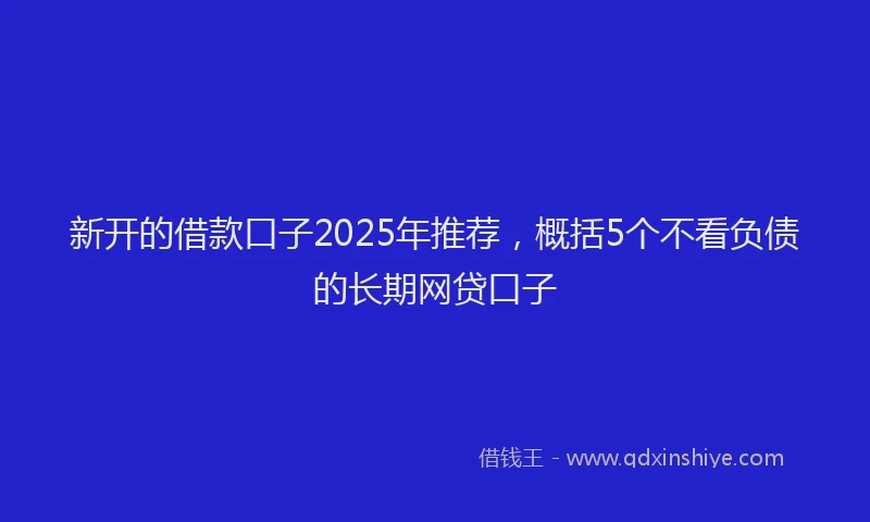 新开的借款口子2025年推荐，概括5个不看负债的长期网贷口子
