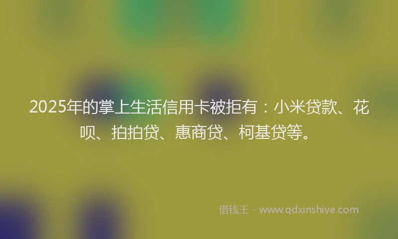 2025年的掌上生活信用卡被拒有：小米贷款、花呗、拍拍贷、惠商贷、柯基贷等。