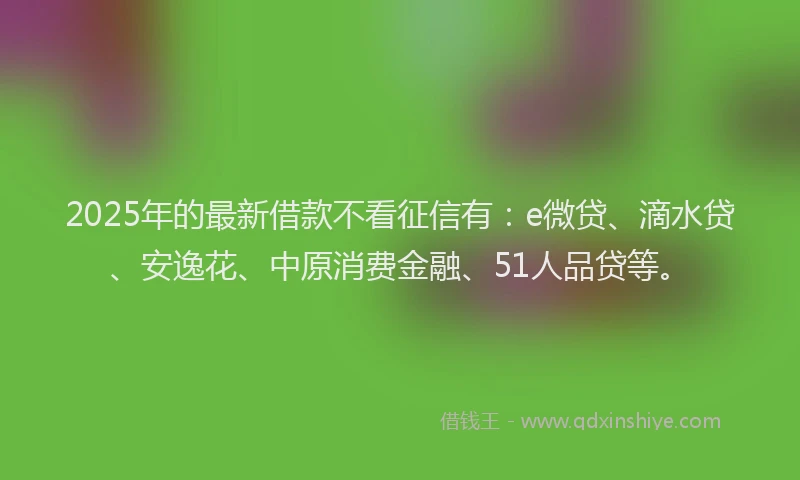 2025年的最新借款不看征信有：e微贷、滴水贷、安逸花、中原消费金融、51人品贷等。