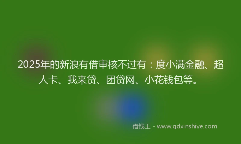 2025年的新浪有借审核不过有：度小满金融、超人卡、我来贷、团贷网、小花钱包等。