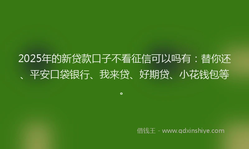 2025年的新贷款口子不看征信可以吗有：替你还、平安口袋银行、我来贷、好期贷、小花钱包等。