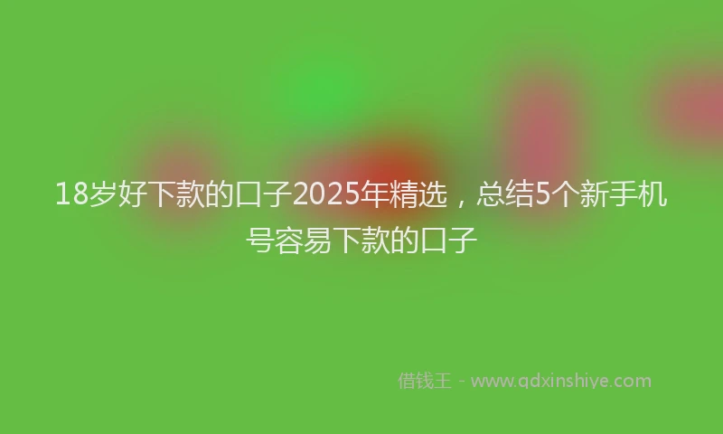 18岁好下款的口子2025年精选,总结5个新手机号容易下款的口子