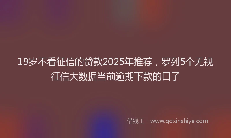 19岁不看征信的贷款2025年推荐，罗列5个无视征信大数据当前逾期下款的口子