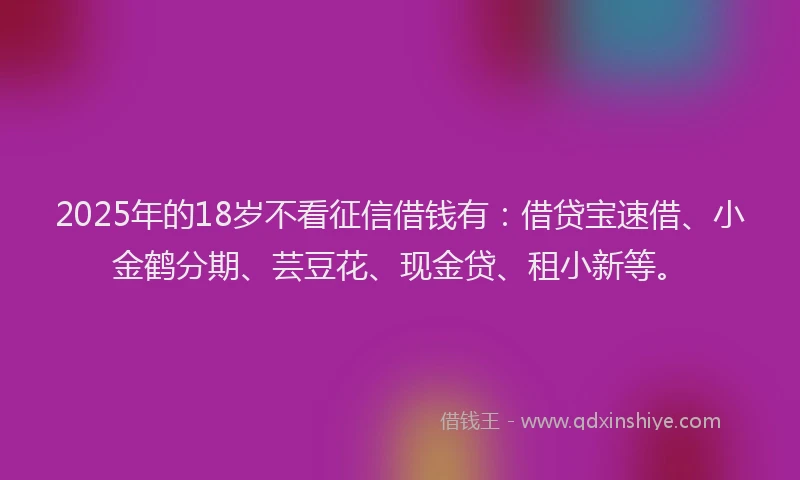 2025年的18岁不看征信借钱有：借贷宝速借、小金鹤分期、芸豆花、现金贷、租小新等。
