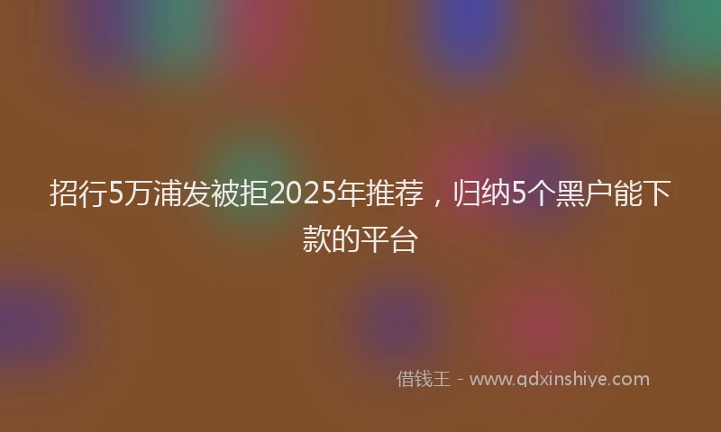 招行5万浦发被拒2025年推荐，归纳5个黑户能下款的平台