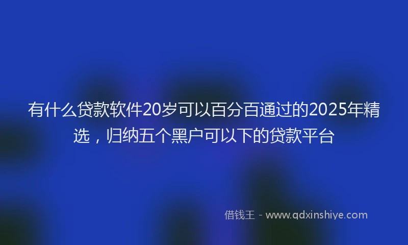 有什么贷款软件20岁可以百分百通过的2025年精选，归纳五个黑户可以下的贷款平台