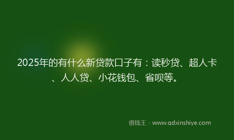 2025年的有什么新贷款口子有：读秒贷、超人卡、人人贷、小花钱包、省呗等。