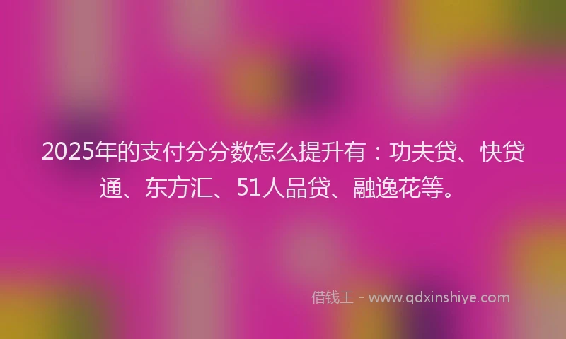 2025年的支付分分数怎么提升有：功夫贷、快贷通、东方汇、51人品贷、融逸花等。