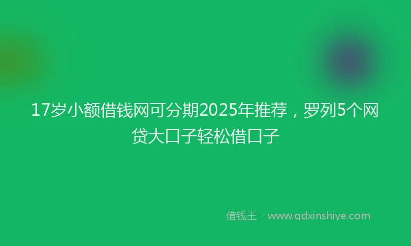 17岁小额借钱网可分期2025年推荐，罗列5个网贷大口子轻松借口子