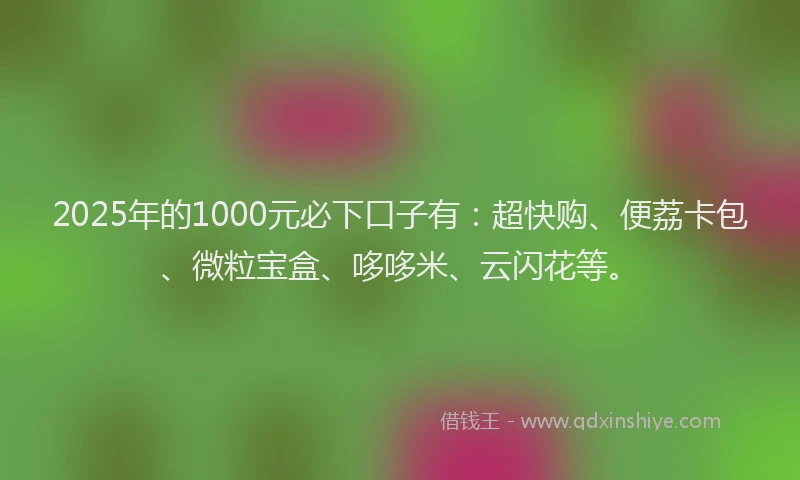 2025年的1000元必下口子有：超快购、便荔卡包、微粒宝盒、哆哆米、云闪花等。