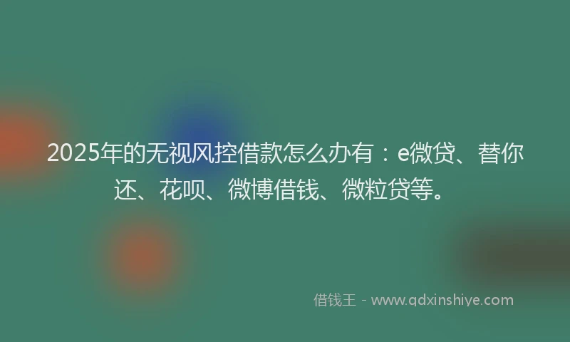 2025年的无视风控借款怎么办有：e微贷、替你还、花呗、微博借钱、微粒贷等。