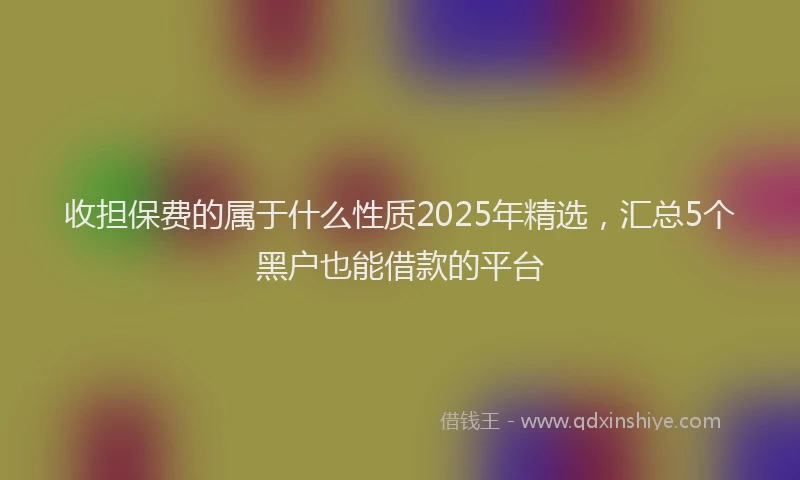 收担保费的属于什么性质2025年精选，汇总5个黑户也能借款的平台