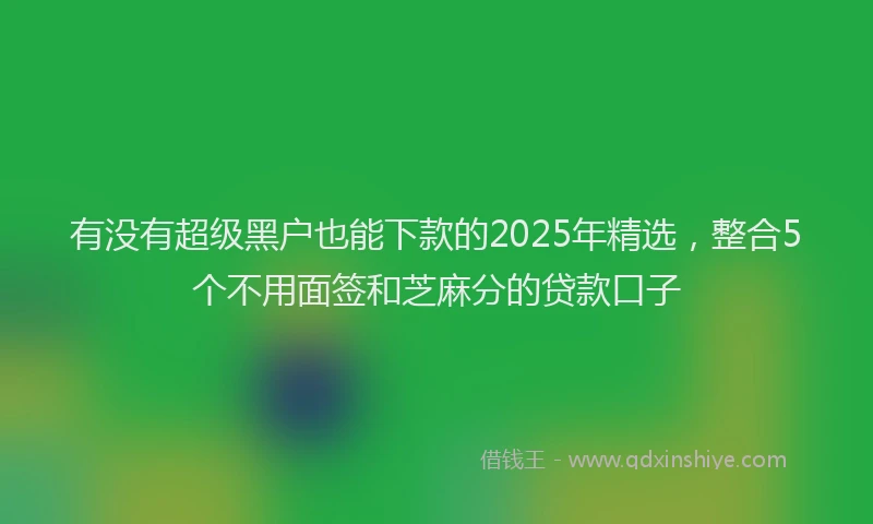 有没有超级黑户也能下款的2025年精选，整合5个不用面签和芝麻分的贷款口子
