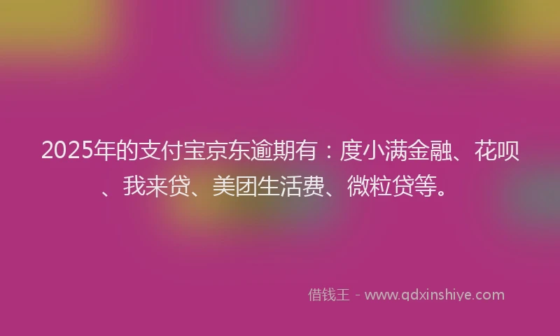 2025年的支付宝京东逾期有：度小满金融、花呗、我来贷、美团生活费、微粒贷等。