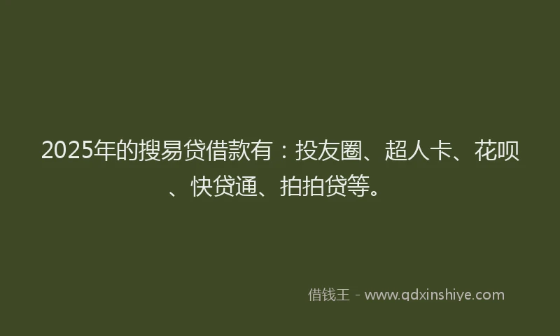 2025年的搜易贷借款有：投友圈、超人卡、花呗、快贷通、拍拍贷等。