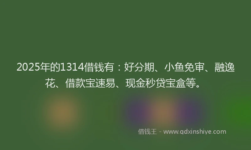 2025年的1314借钱有：好分期、小鱼免审、融逸花、借款宝速易、现金秒贷宝盒等。