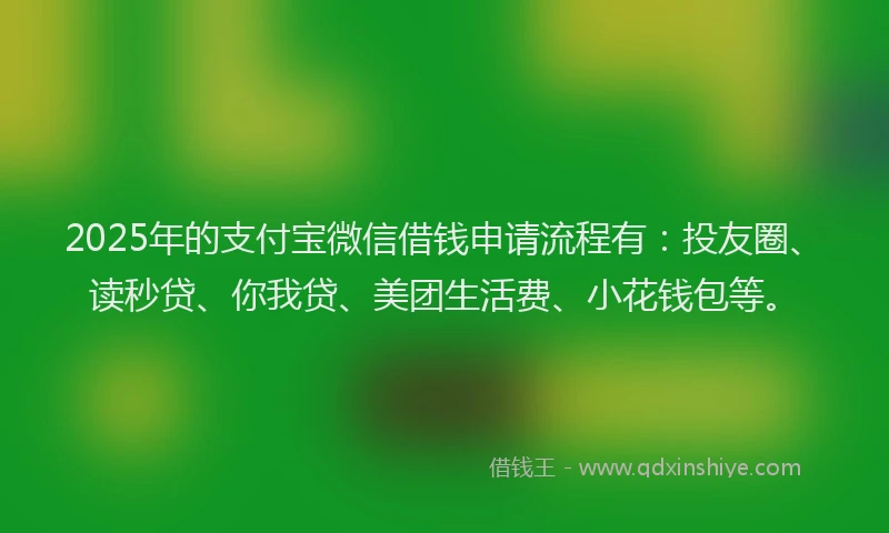 2025年的支付宝微信借钱申请流程有：投友圈、读秒贷、你我贷、美团生活费、小花钱包等。
