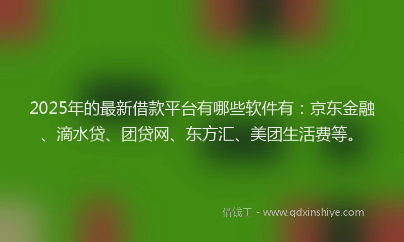 2025年的最新借款平台有哪些软件有：京东金融、滴水贷、团贷网、东方汇、美团生活费等。