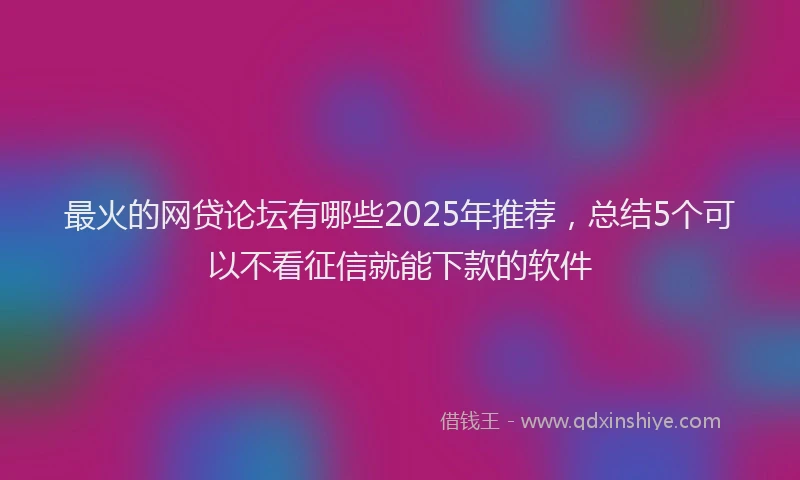 最火的网贷论坛有哪些2025年推荐，总结5个可以不看征信就能下款的软件
