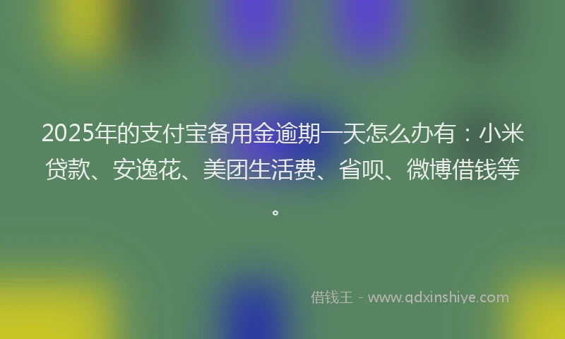 2025年的支付宝备用金逾期一天怎么办有：小米贷款、安逸花、美团生活费、省呗、微博借钱等。