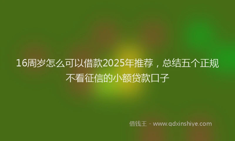 16周岁怎么可以借款2025年推荐，总结五个正规不看征信的小额贷款口子
