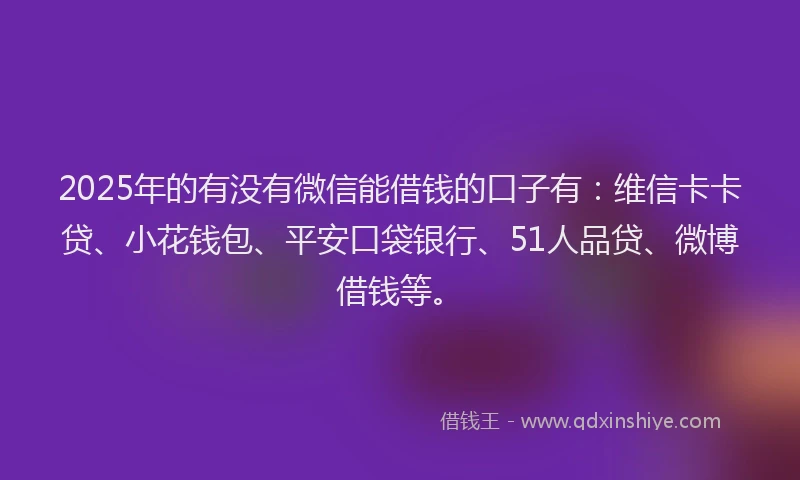 2025年的有没有微信能借钱的口子有：维信卡卡贷、小花钱包、平安口袋银行、51人品贷、微博借钱等。