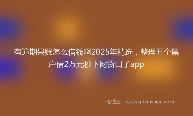 有逾期呆账怎么借钱啊2025年精选，整理五个黑户借2万元秒下网贷口子app