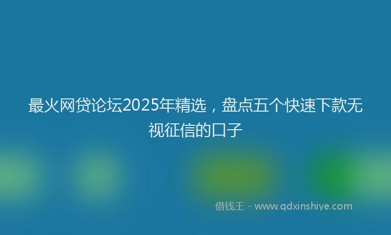 最火网贷论坛2025年精选，盘点五个快速下款无视征信的口子